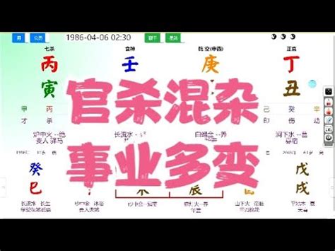 自己五行|免費線上八字計算機｜八字重量查詢、五行八字算